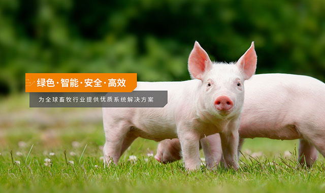 养猪设备